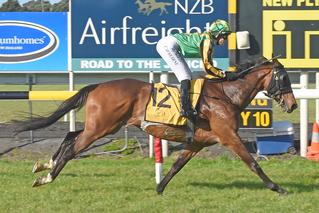 Aigne (NZ) qualified for the 2019 Jericho Cup by winning last year's Road to Jericho H. (3210m) at New Plymouth. 